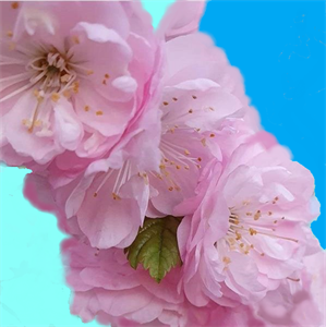 ПР  402.png